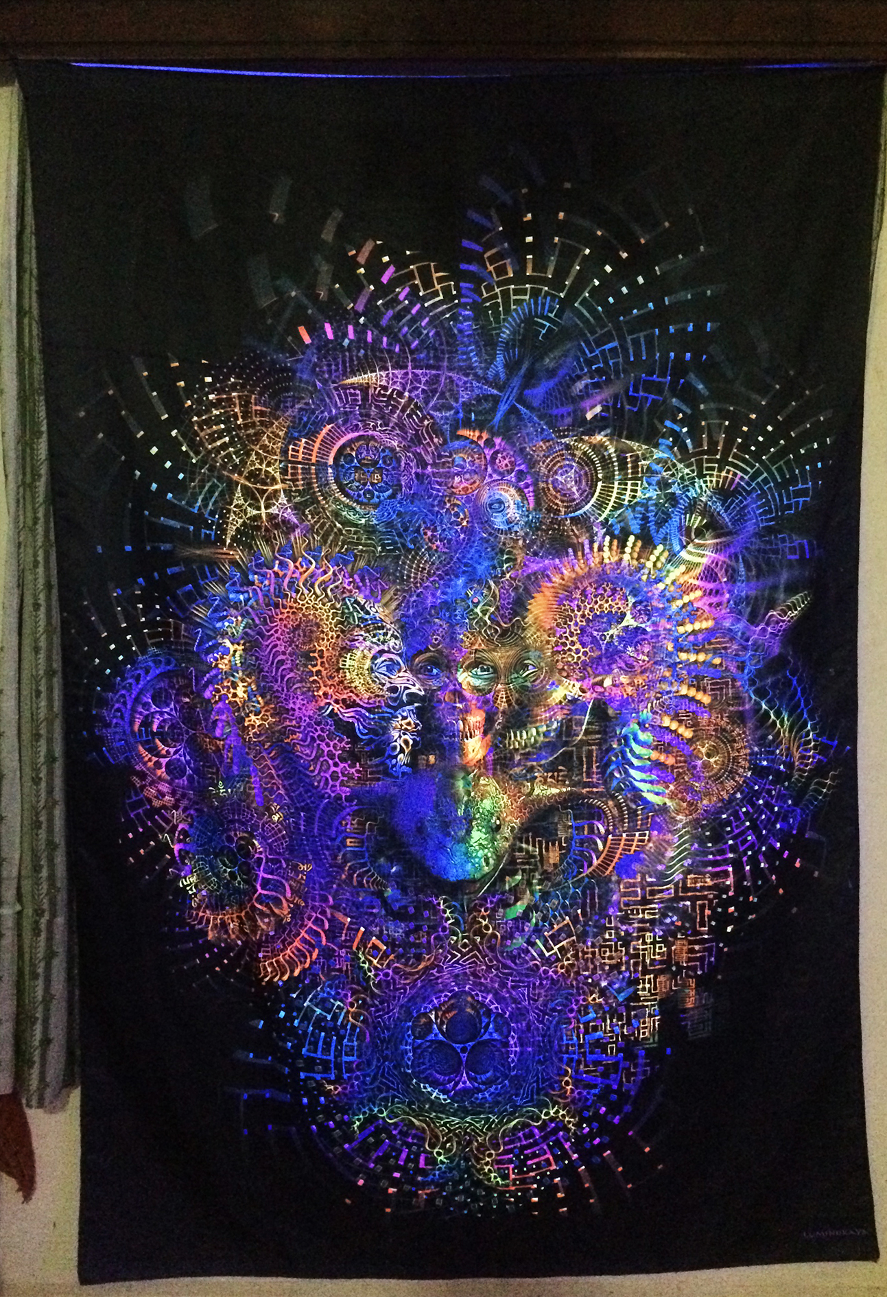 "Volality" Backdrop