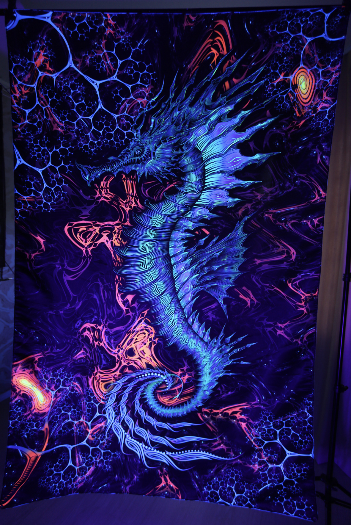 Sea Horse