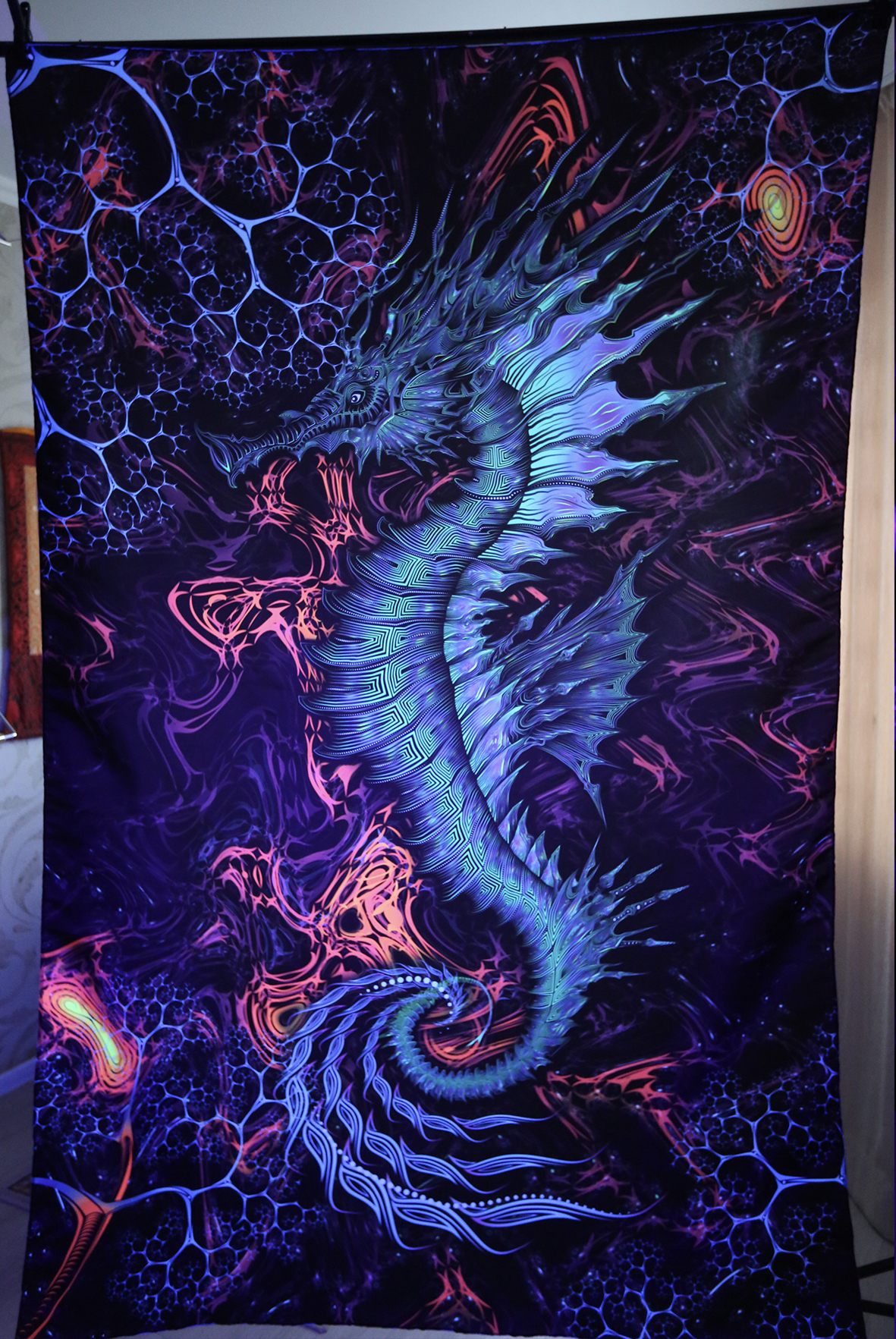 Sea Horse