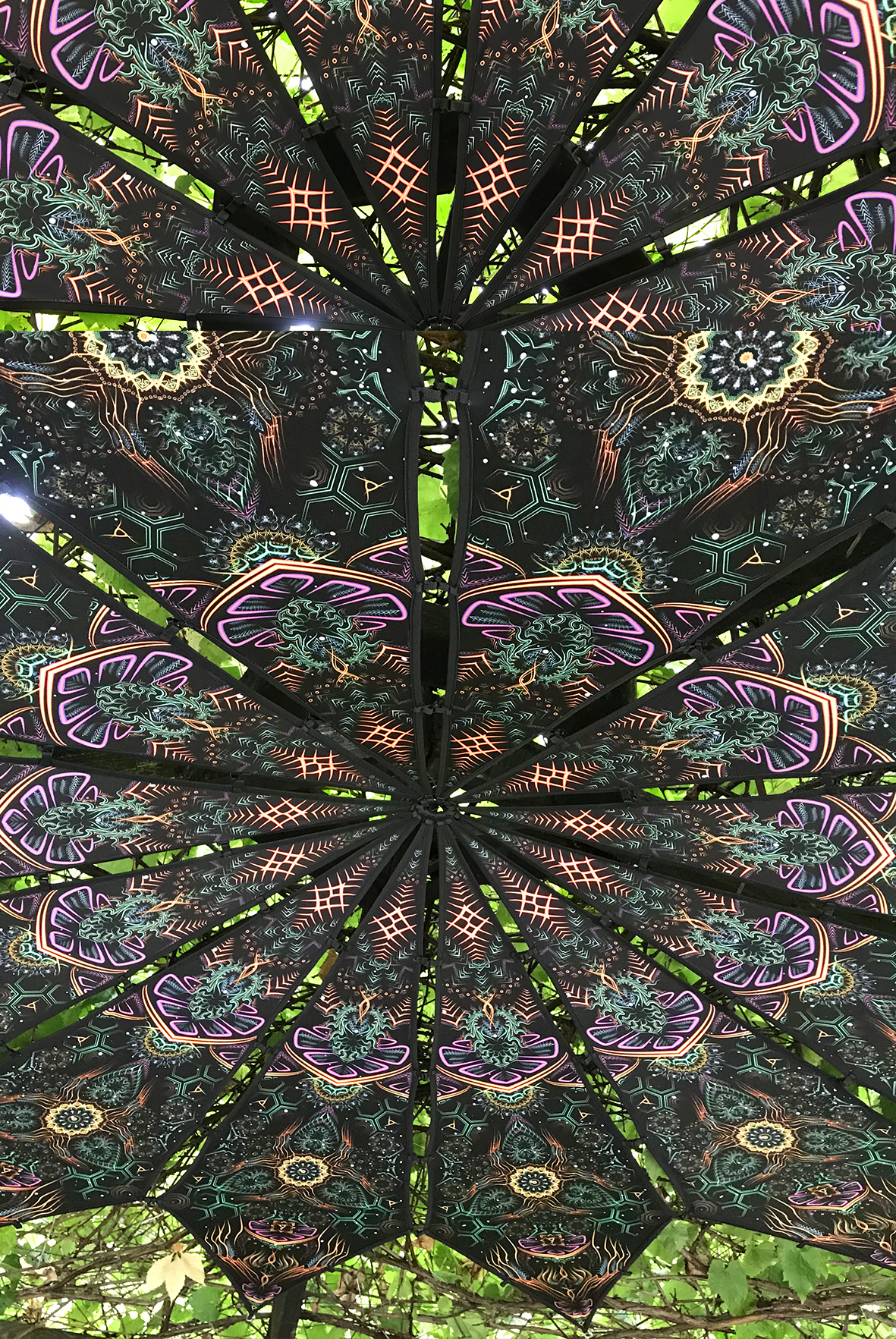open your mind