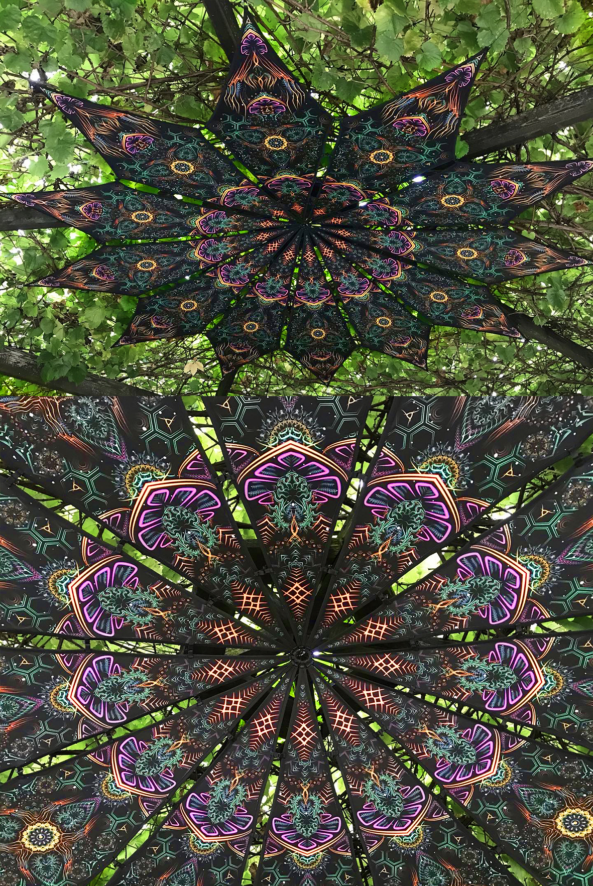 open your mind